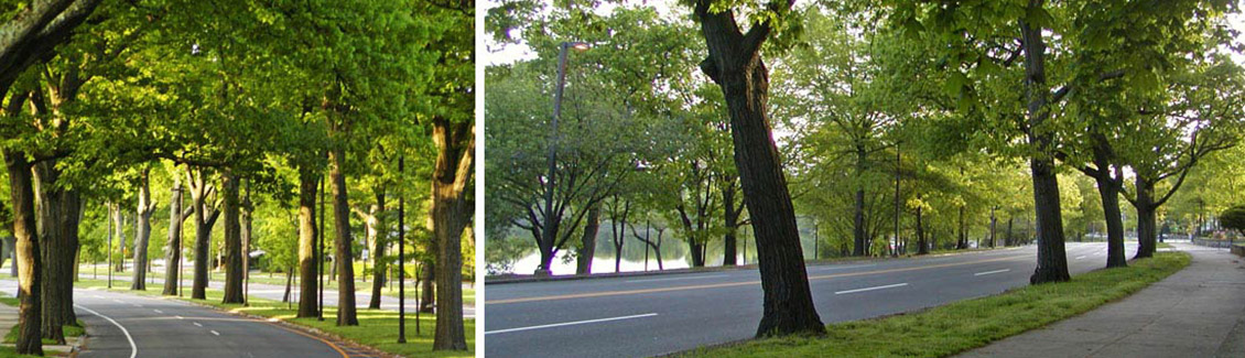 enc parkways