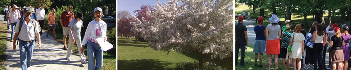 The Emerald Necklace Conservancy