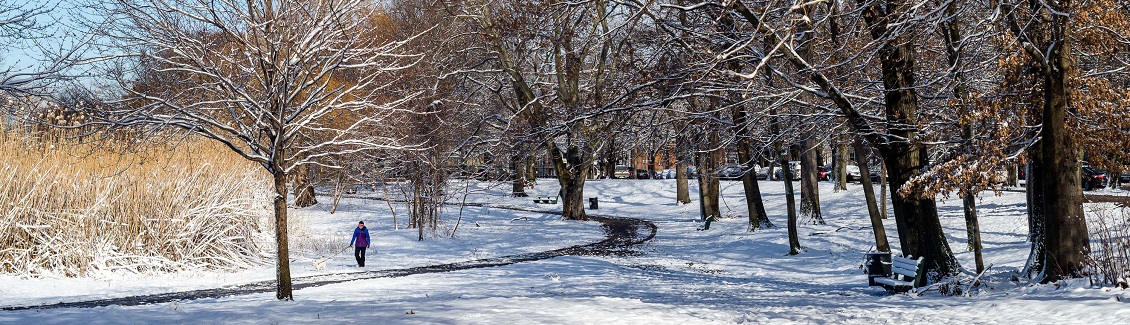 Seasonal Pic - WINTER