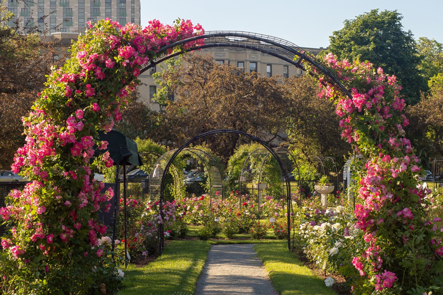 Kelleher-Rose-Garden