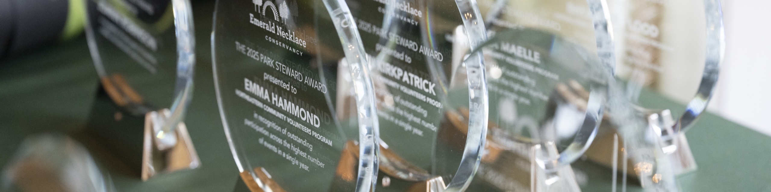 Volunteer Award Banner